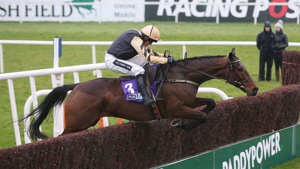 Bellshill: the Willie Mullins-trained chaser was Shaw's long-term Irish National fancy