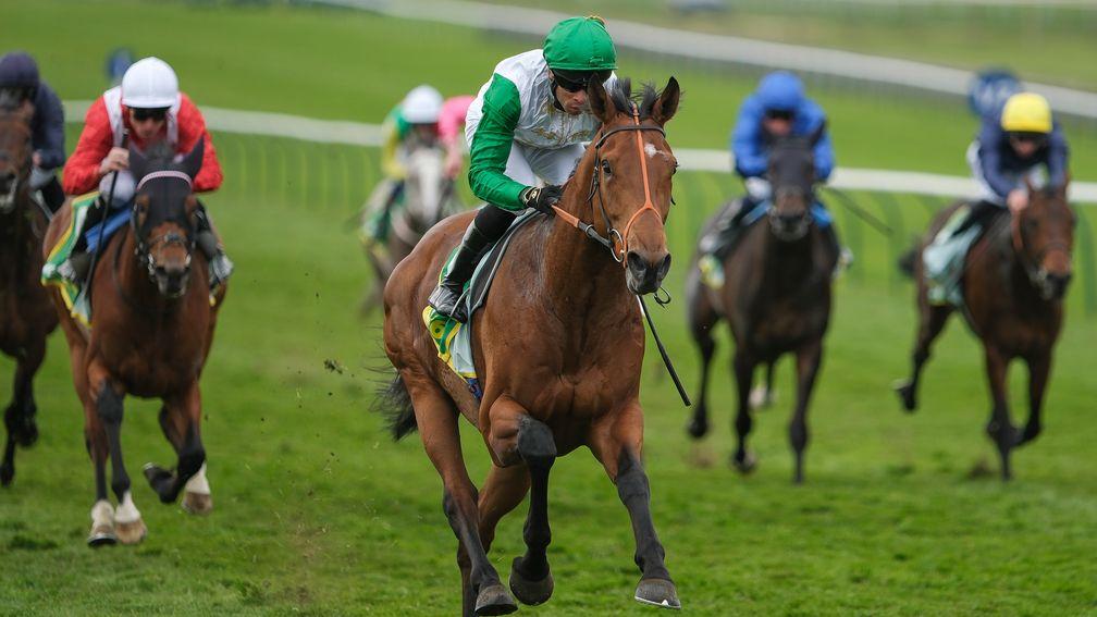 Haatem: a fine winner of the Craven Stakes