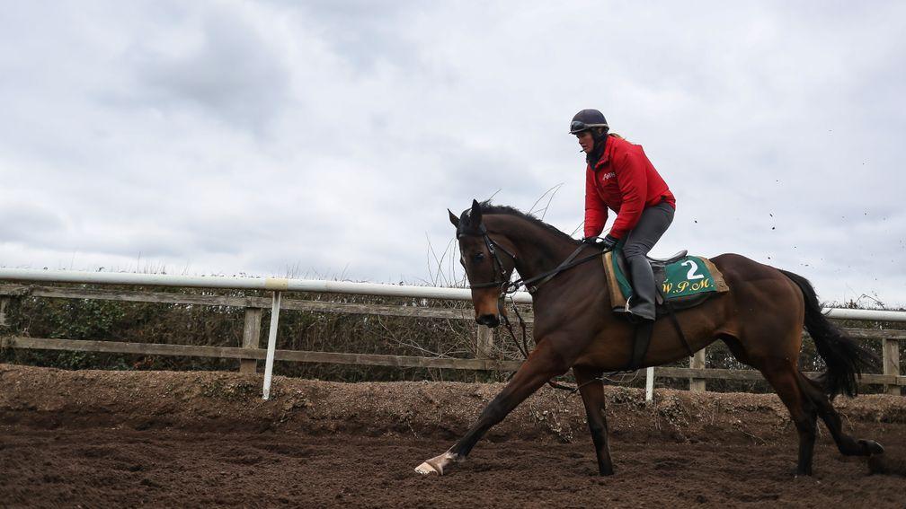 Douvan: majestic chaser could well run in the Champion Chase at Cheltenham