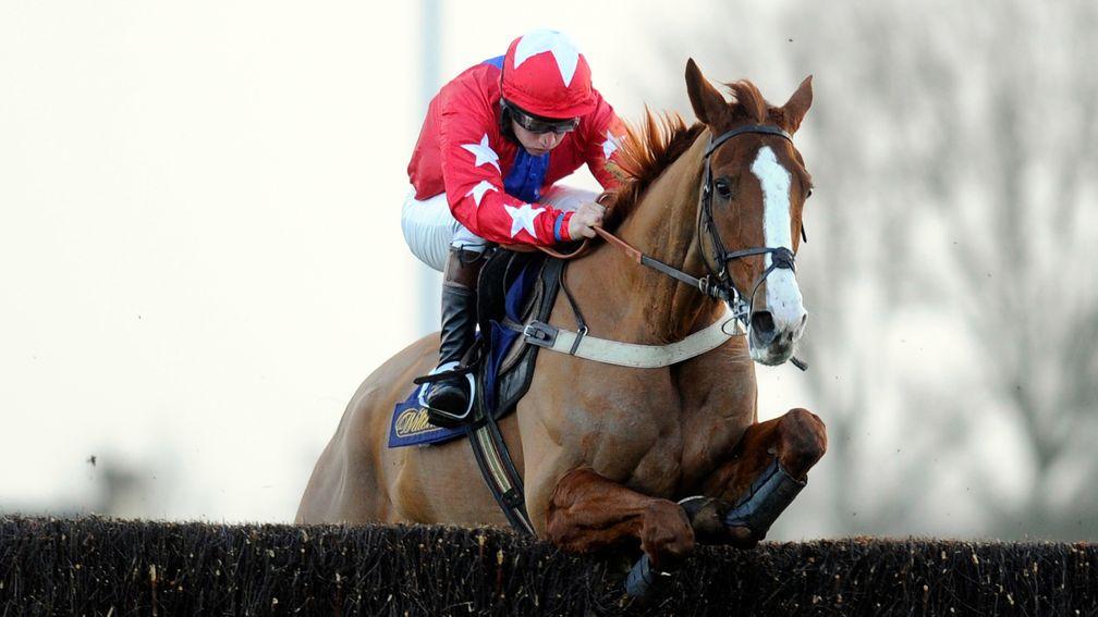 Sire De Grugy: has been a leading light for his father My Risk