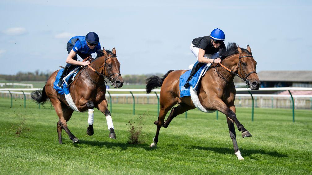 Investec Oaks favourite Wild Illusion (right) leads Night Circus on the gallops