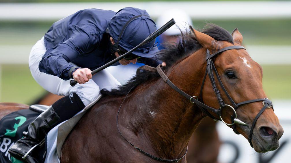 United Nations: gave Aidan O'Brien and Ryan Moore another Classic trial winner