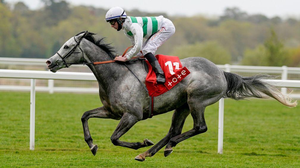 Albaflora: could be the main danger to Wonderful Tonight in the Lillie Langtry