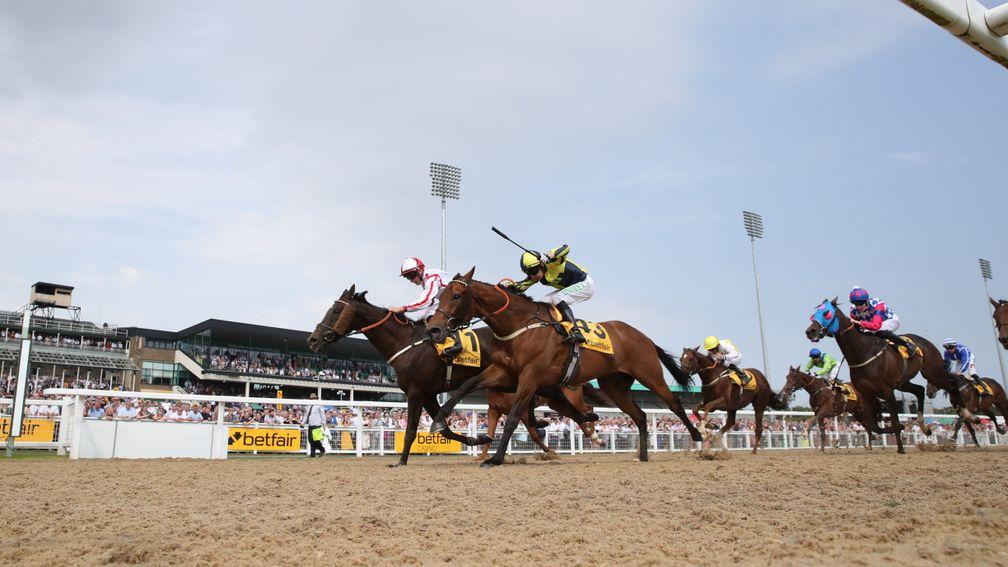 The Northumberland Plate takes centre stage at Newcastle on Saturday