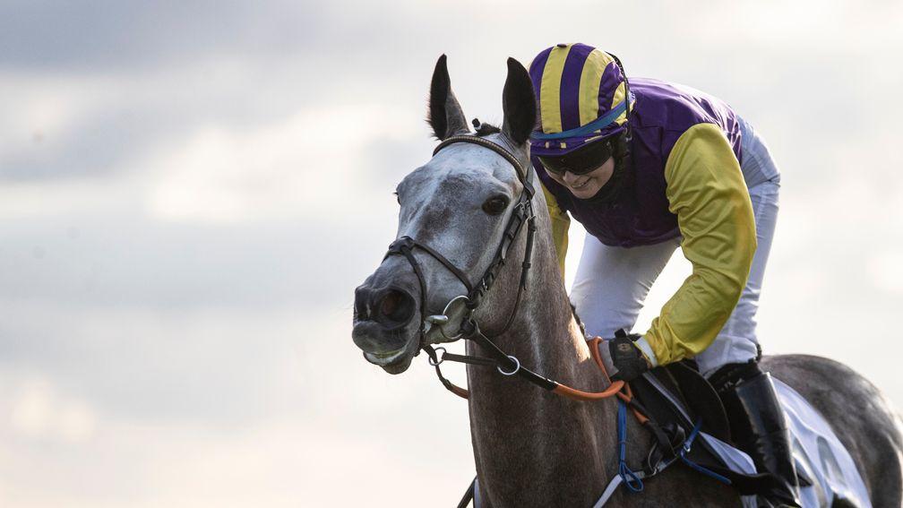 Princess Zoe: bids to enhance her reputation in the Oyster Stakes at Galway