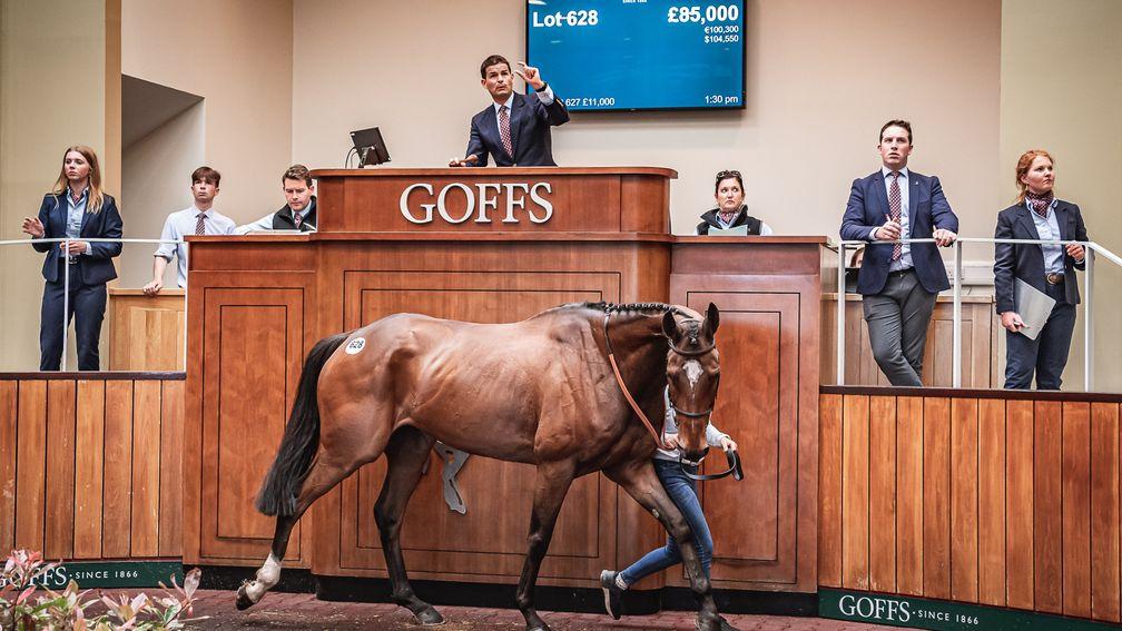 Crosshill goes the way of Aaron Purcell for £85,000 to top the sale at Goffs UK on Thursday