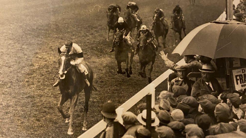 Coronach: winner of the Derby in 1926 and son of Lavington Stud's outstanding Hurry On