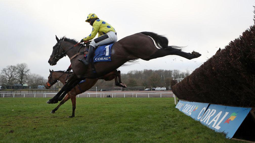 Yala Enki: has been backed for the Grade 2 Cotswold Chase