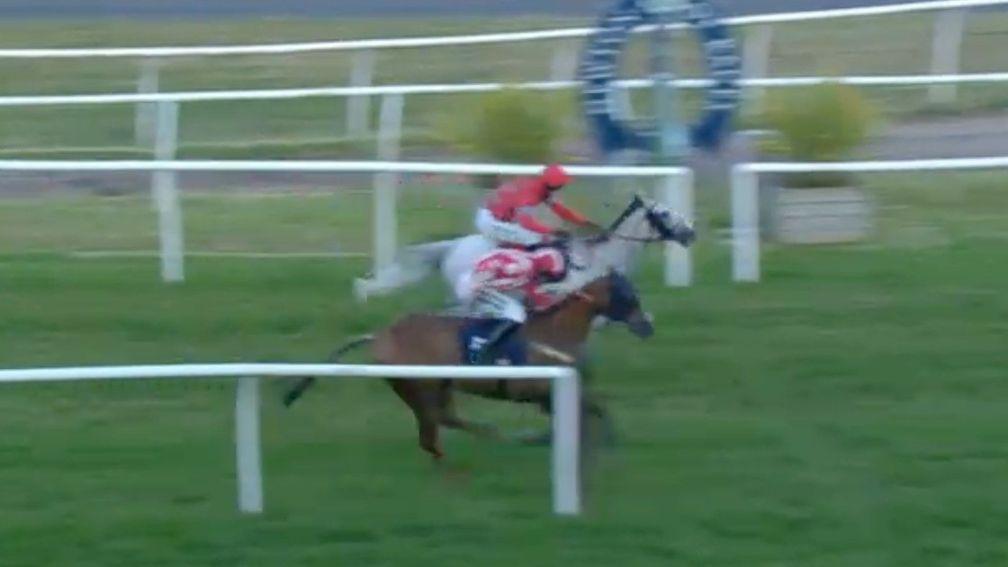 Brendan Powell refused to give up and managed to get My Lady Grey first past the post (Sky Sports Racing)