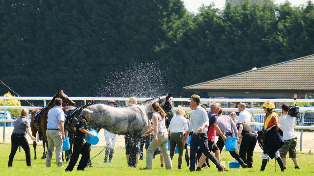 Horses being cooled down during a summer fixture at Southwell