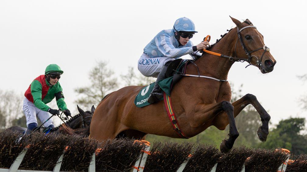 Honeysuckle made it 16 straight wins with success in the Paddy Power Champion Hurdle