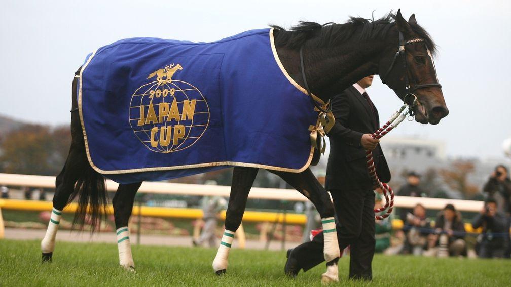 Japanese racing Hall of Fame inductee Vodka after winning the Japan Cup in 2009