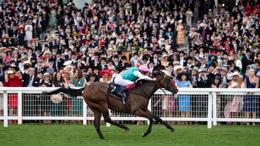 Calyx bounds clear in the Coventry Stakes at Royal Ascot