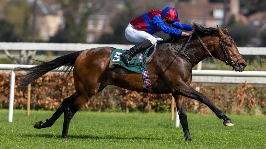 Hans Andersen: could contest the French or Irish 2,000 Guineas next