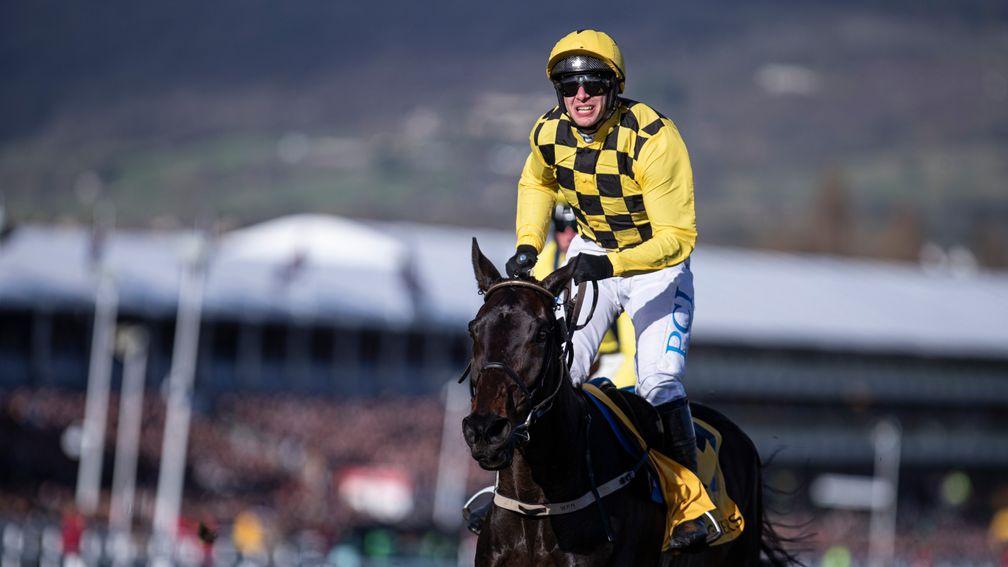 Cheltenham: will feature on the free-to-air coverage in Ireland