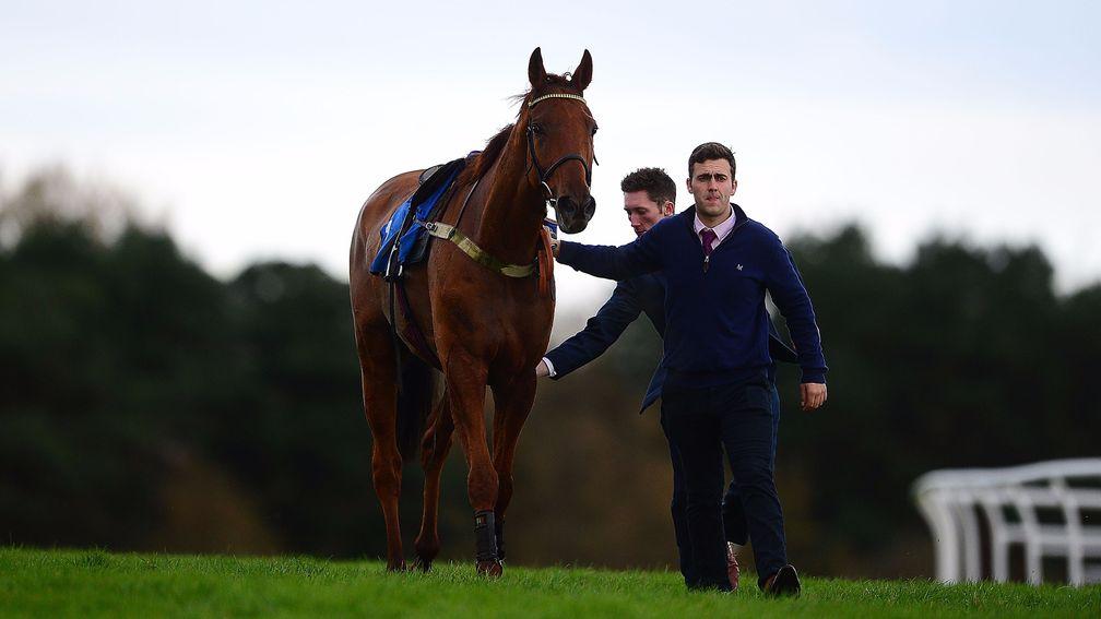 Yanworth is led back in after coming to grief in the novice chase at Exeter on Wednesday