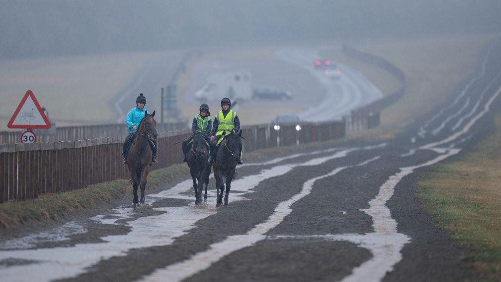 William Jarvis's horses walk down Warren Hill as torrential rain along with with thunder and lightning hits NewmarketNewmarket 25.8.22 Pic: Edward Whitaker