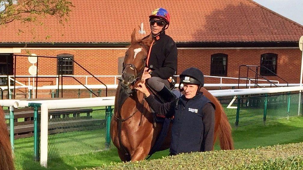 Betty F and Frankie Dettori before their racecourse gallop