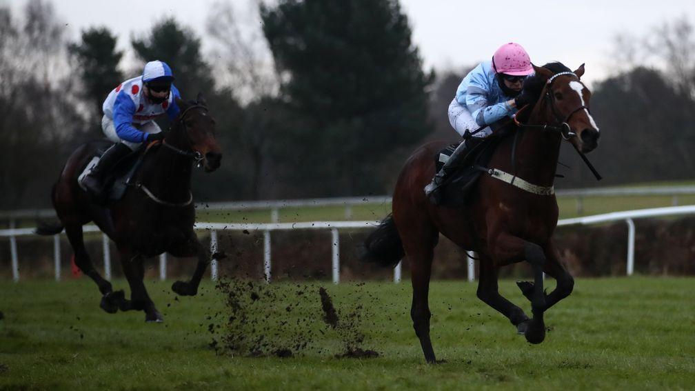 Eileendover: could be short in the betting for the Mares' National Hunt Flat race at Aintree