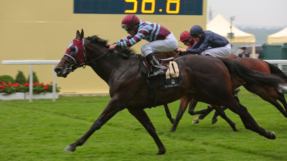 No Nay Never and Joel Rosario win the Norfolk Stakes in 2013
