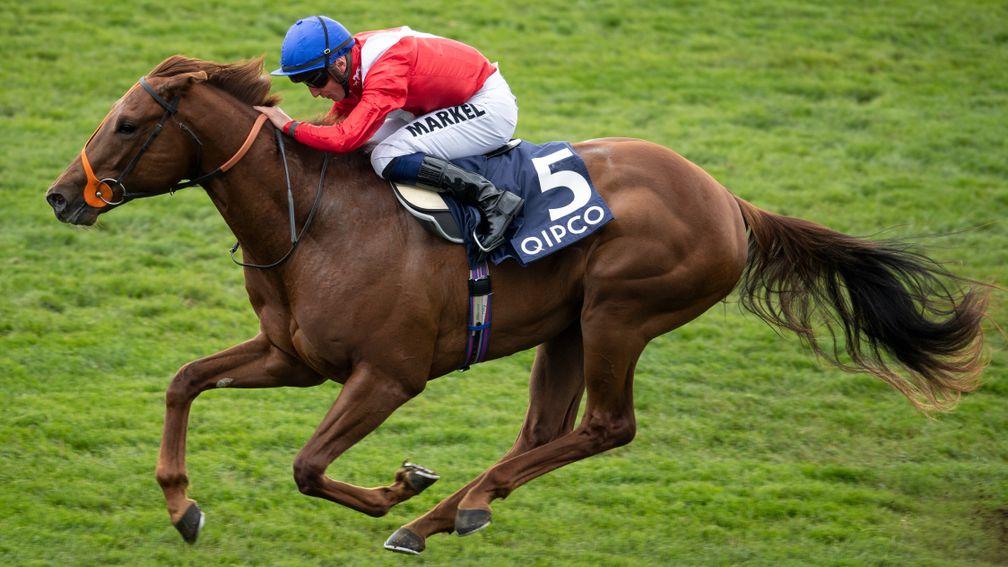 Threat: was narrowly beaten by Arizona in the Coventry Stakes