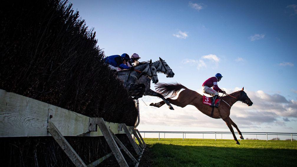Run Wild Fred and Davy Russell dictate the race from the front