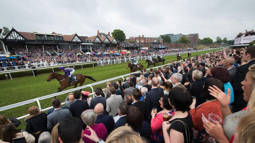 Chester: the racecourse will have a new chief executive in the new year