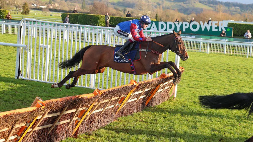 Paisley Park clears a hurdle on his way to an unlikely victory at Cheltenham