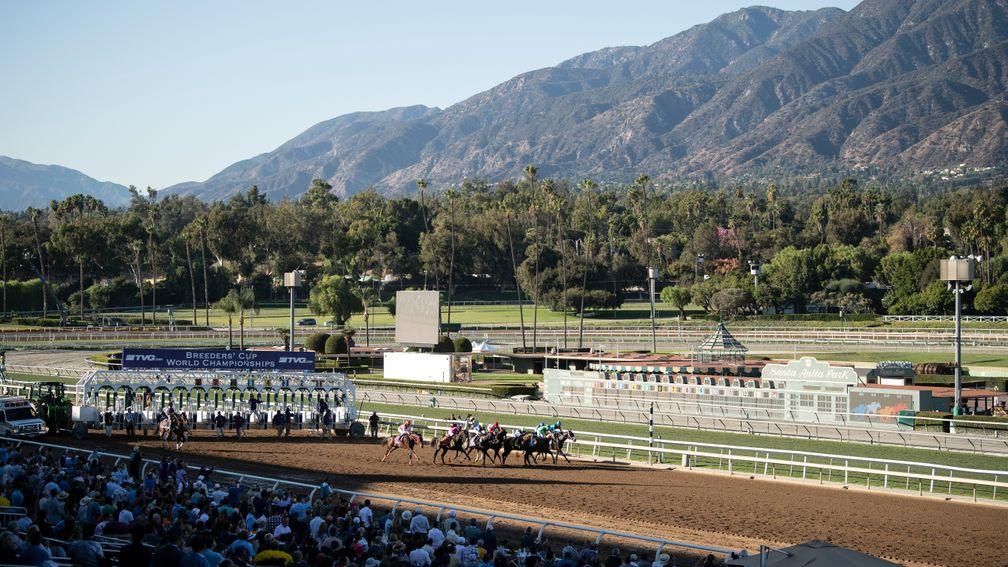 The runners break from the gates at the start of the Breeders' Cup Juvenile 2019 at Santa Anita
