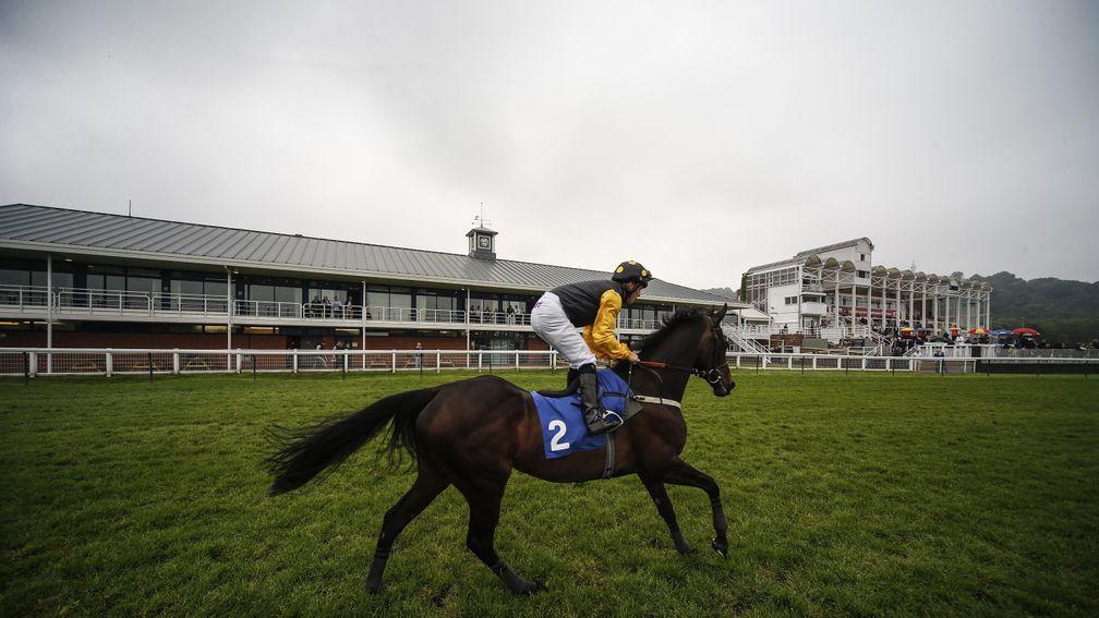 Nottingham racecourse: hosting its Listed feature Barry Hills Further Flight Stakes today