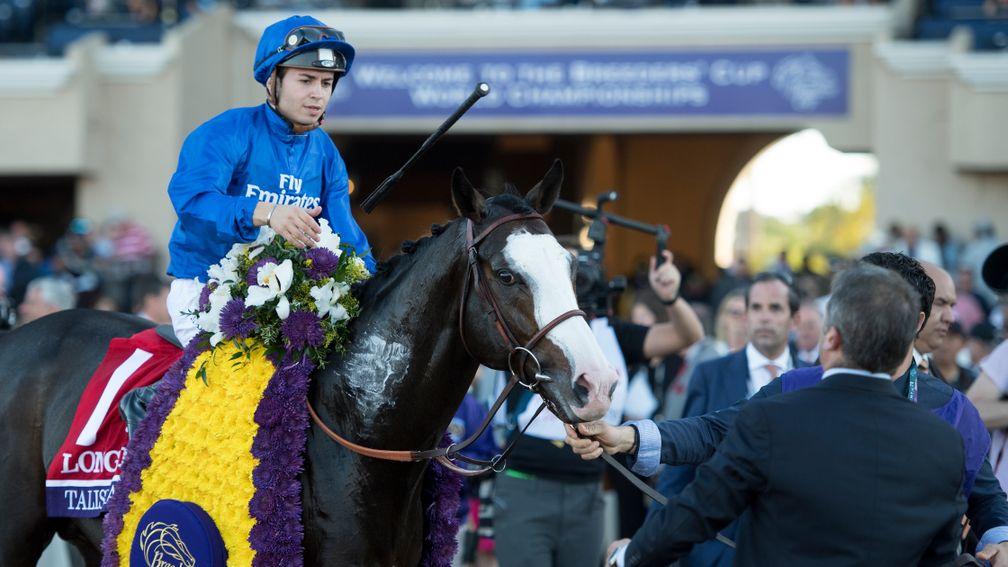 Talismanic after his Breeders' Cup Turf triumph