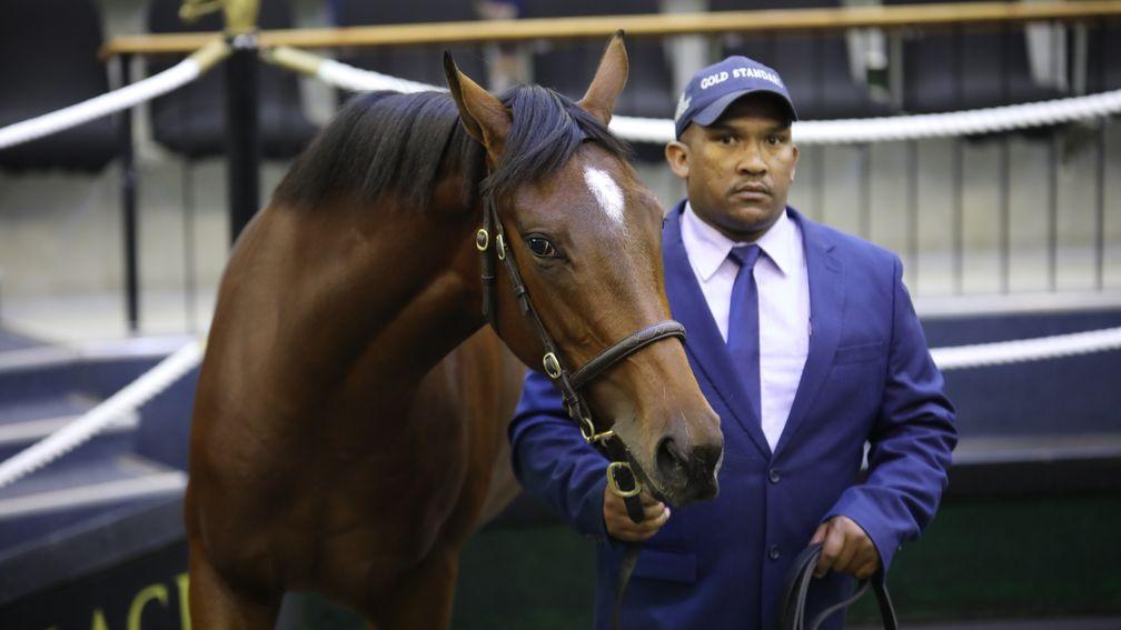 The Dynasty filly out of Happy Archer to be trained by De Kock