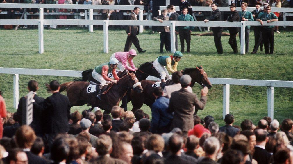 Nijinsky lands the 1970 St Leger from Meadowville (noseband) and Politico
