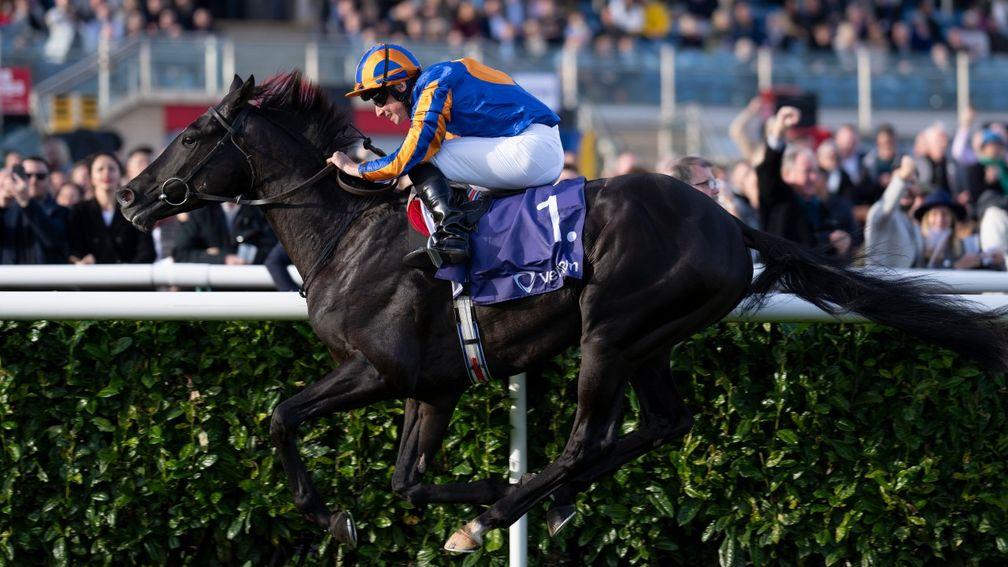 Auguste Rodin: did he put up the best juvenile performance of the season?