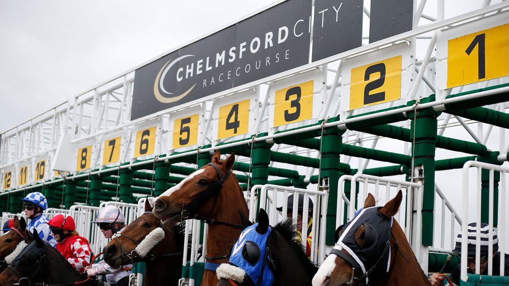Chelmsford stalls