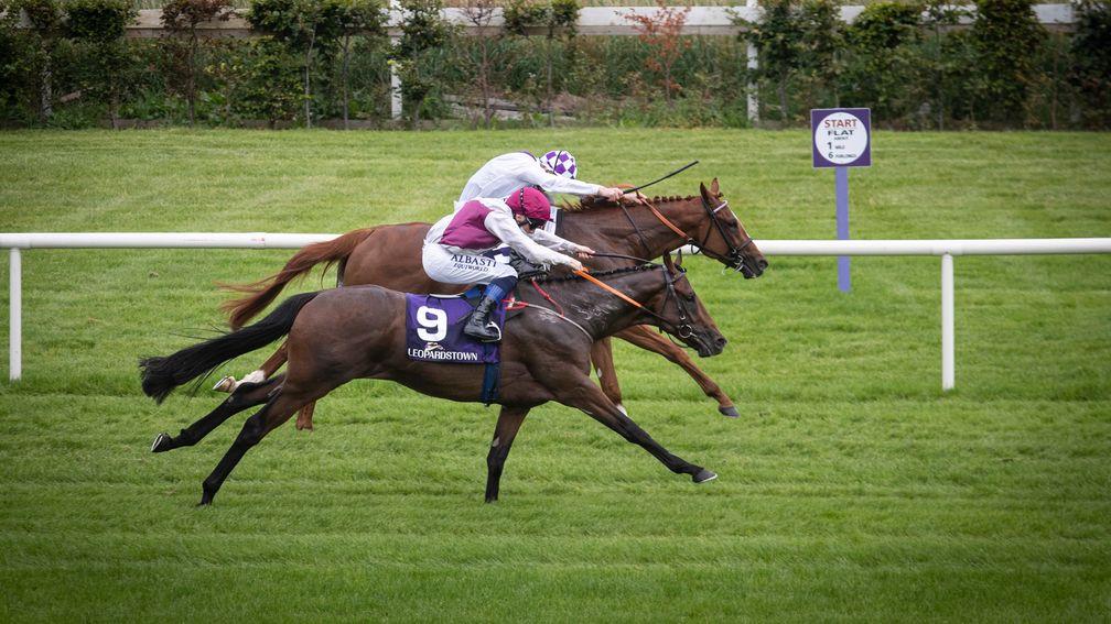 300-1 shot He Knows No Fear ridden by Chris Hayes wins the mile maiden at Leopardstown