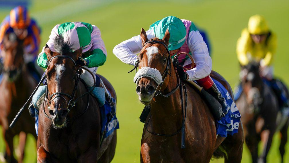 Chaldean (right) fends off Royal Scotsman to win the Dewhurst Stakes