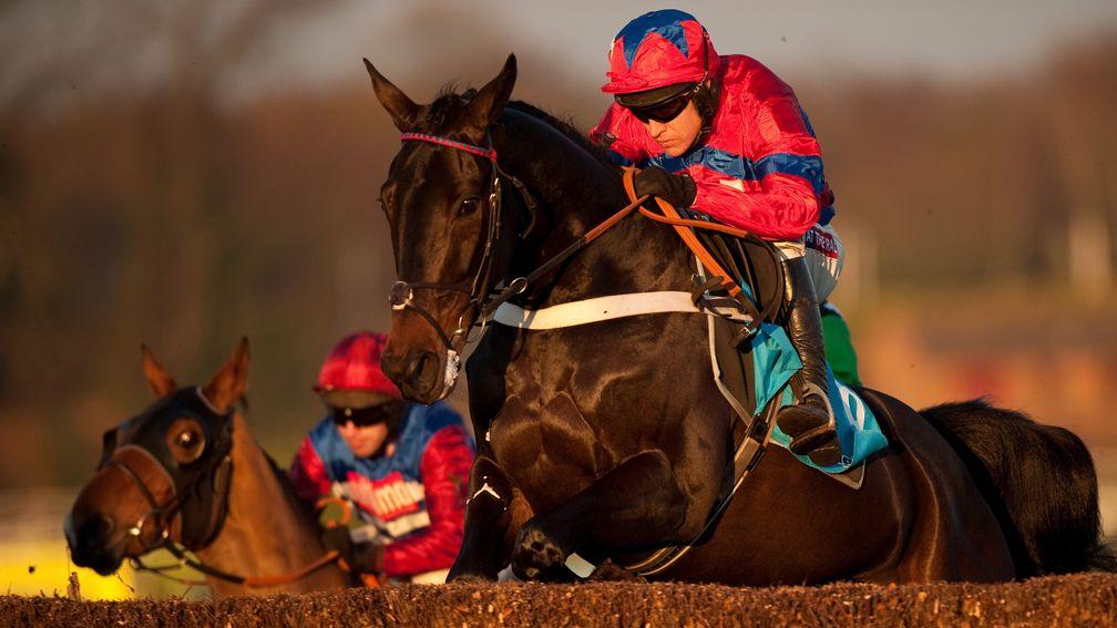 Sprinter Sacre in action under Barry Geraghty in the 2012 Tingle Creek Chase at Sandown