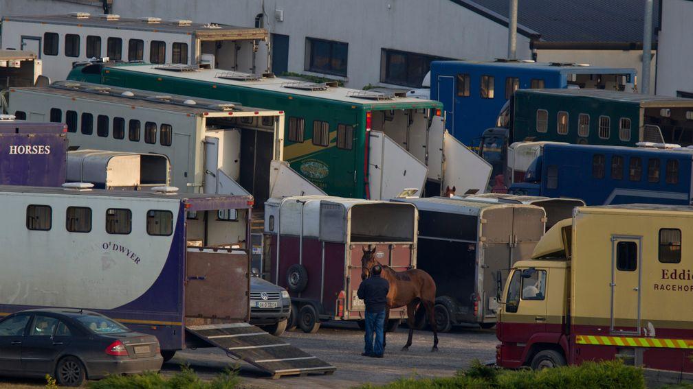 Moving horses between Britain and EU countries will not be nearly as straightforward from January 1 2021