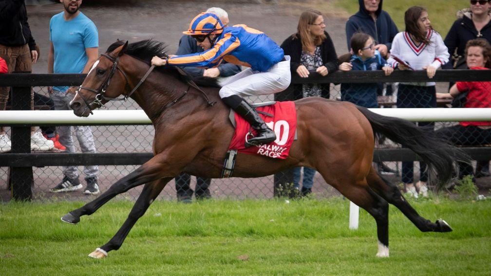 Lancaster House impresses on debut under Joseph O'Brien in the 1m maiden at Galway