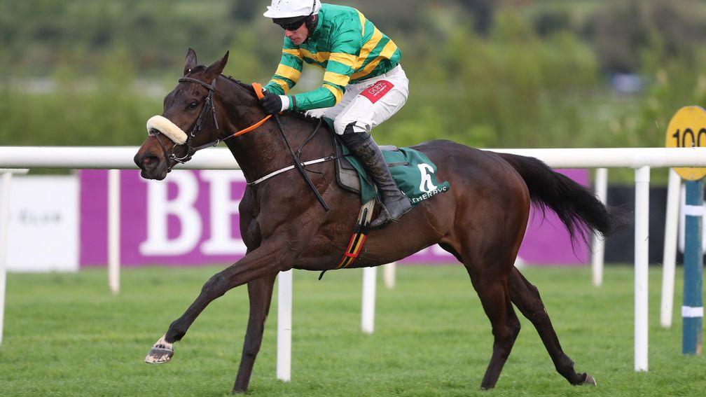 Gypsy Island: is already a 7-1 favourite for the Mares Novice Hurdle at Cheltenham