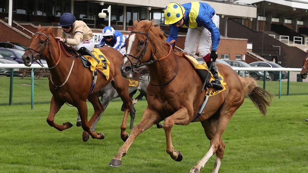 Glen Shiel (left) puts up a career best under Hollie Doyle in the Sprint Cup on Saturday. Connections will hope to turn form around with Dream Of Dreams on Champions Day next month