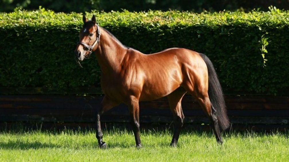 Zoffany is also the sire of dual Group-winning juvenile Main Edition