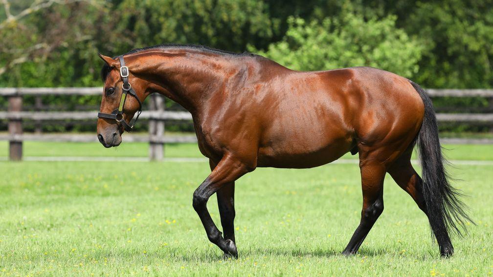 Zarak: has made an exciting start with his first juveniles