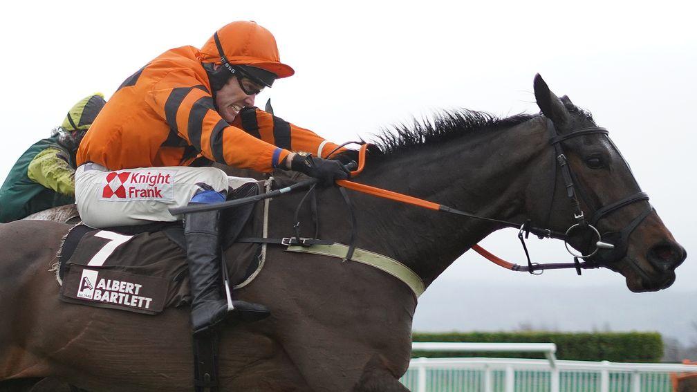 Rockpoint: classy hurdler but has subsequently lost his way