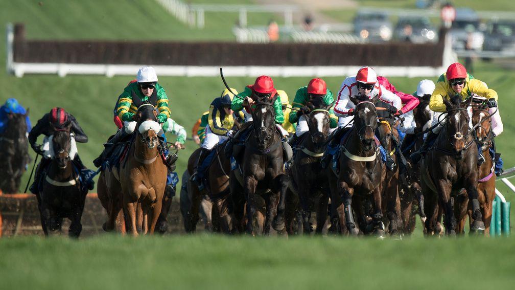 Supasundae (yellow sleeves, extreme right) races round the final bend in the 2017 Coral Cup Handicap Hurdle at Cheltenham. A year later he finished runner-up to Penhill in the Grade 1 Stayers' Hurdle at the festival