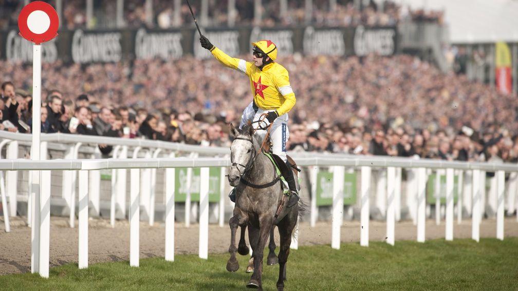 Al Ferof: provided Ruby Walsh with a perfect comeback winner at Cheltenham in 2011