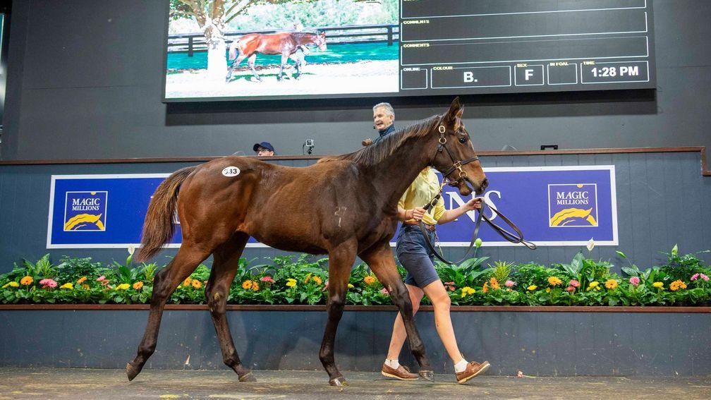 The Zoustar filly who led the way on Friday at A$750,000
