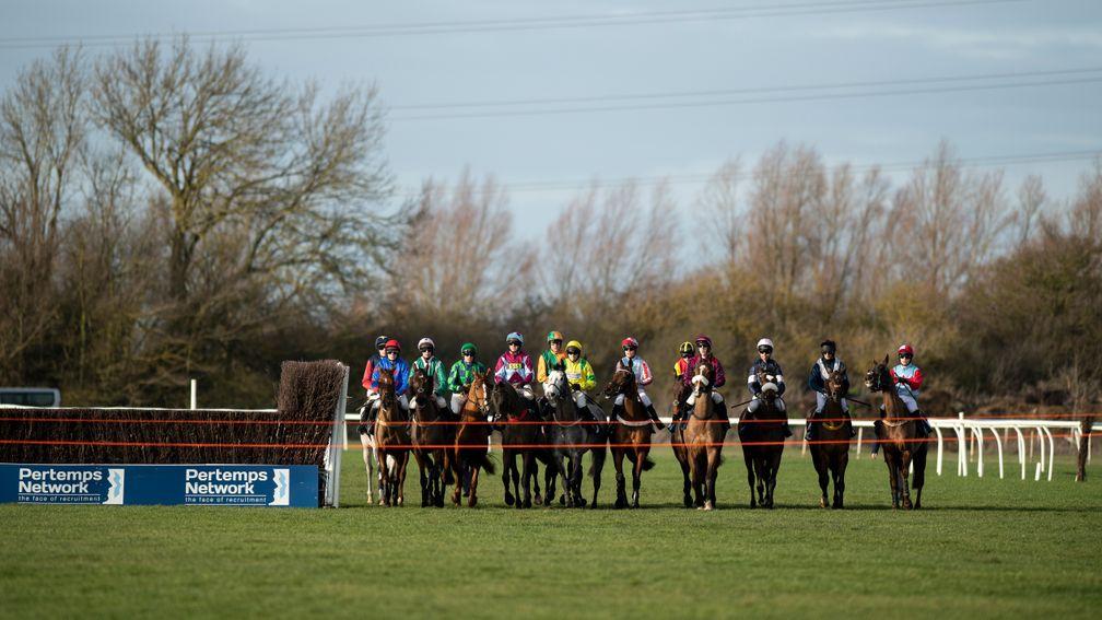 Runners and riders line up at the start at Huntingdon on Friday