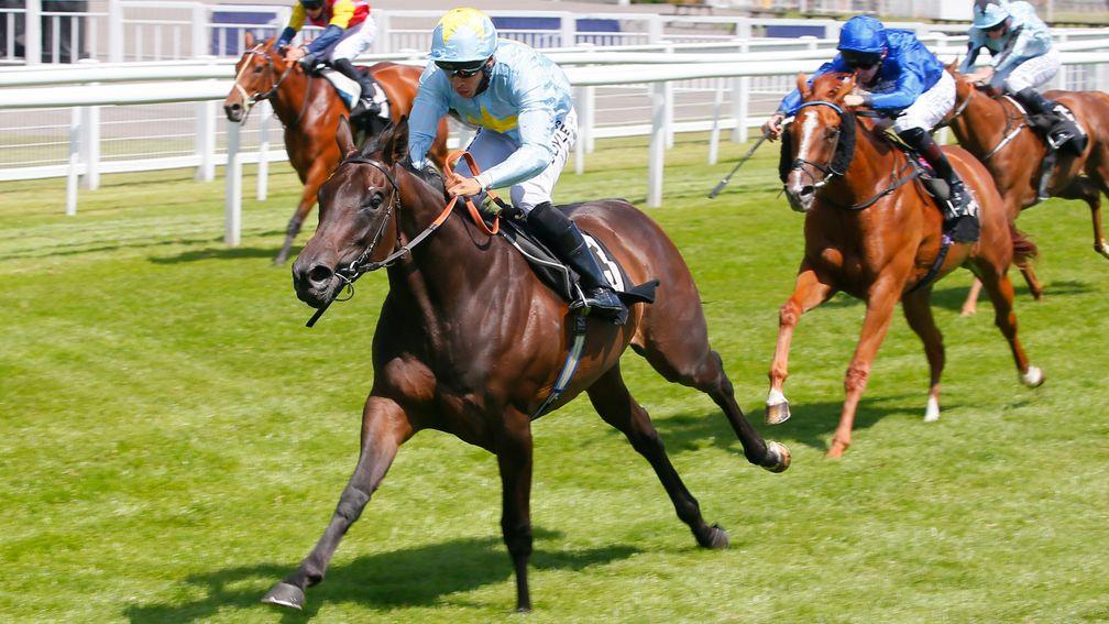 Fly Miss Helen (Sean Levey) made a big impresssion on her winning debut at Newbury last month